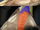 A bird's rump.png
