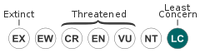 Status iucn3.1 LC