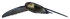 Mascarene Swiftlet