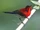 Sunbird