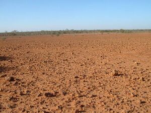 Gibber plains SNP.jpg