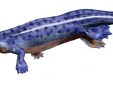 Tetrapod