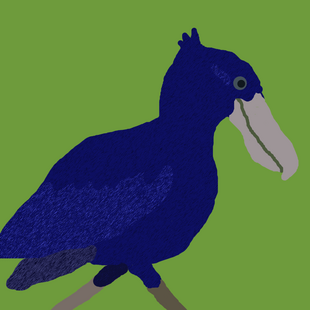 Blue Shoebill