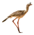 Red-legged Seriema