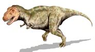 Tyrannosaurus rex, one of the largest land predators of all time, lived during the late Cretaceous.