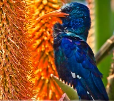 There's something in this...