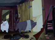 Full skeleton of an early carnivorous dinosaur, displayed in a glass case in a museum