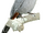 Arfak Astrapia