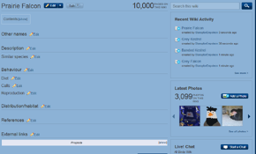 Prairie Falcon 10,000th page