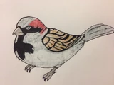 Giant Sparrow
