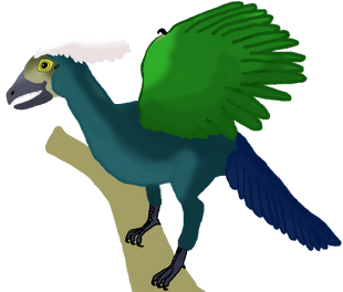 Archaeopteryx lithographica coloured