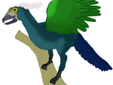 Archaeopteryx lithographica