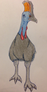 King Cassowary