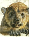 Thylacoleo