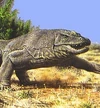 Megalania
