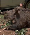 Hogzilla