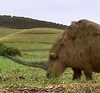 Elasmotherium