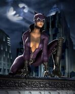 Catwoman (MK vs DC Universe)