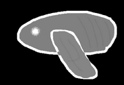 Largoinfin.png