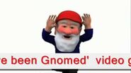 Youve been gnomed
