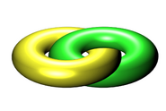 A yellow-green toruchain.