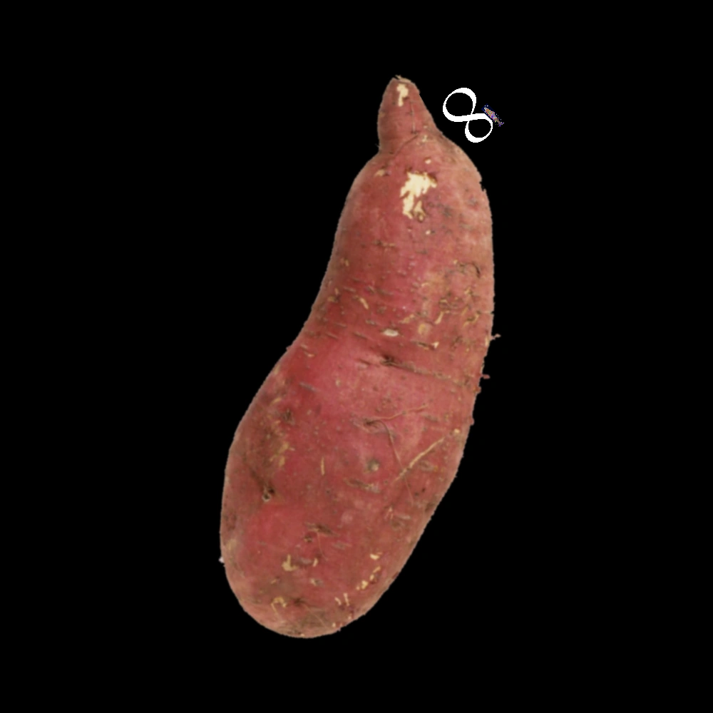 Omniyam.png