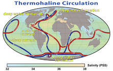 Thermohaline Circulation 2