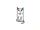 Gift Cat