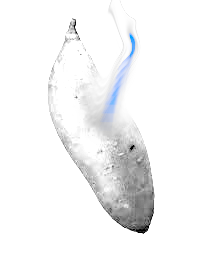 Sansyam.png