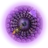 .hyperverse v3