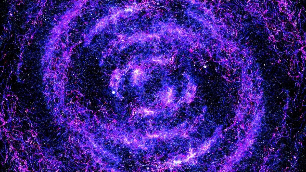Omni-Universe | All dimensions Wiki | Fandom