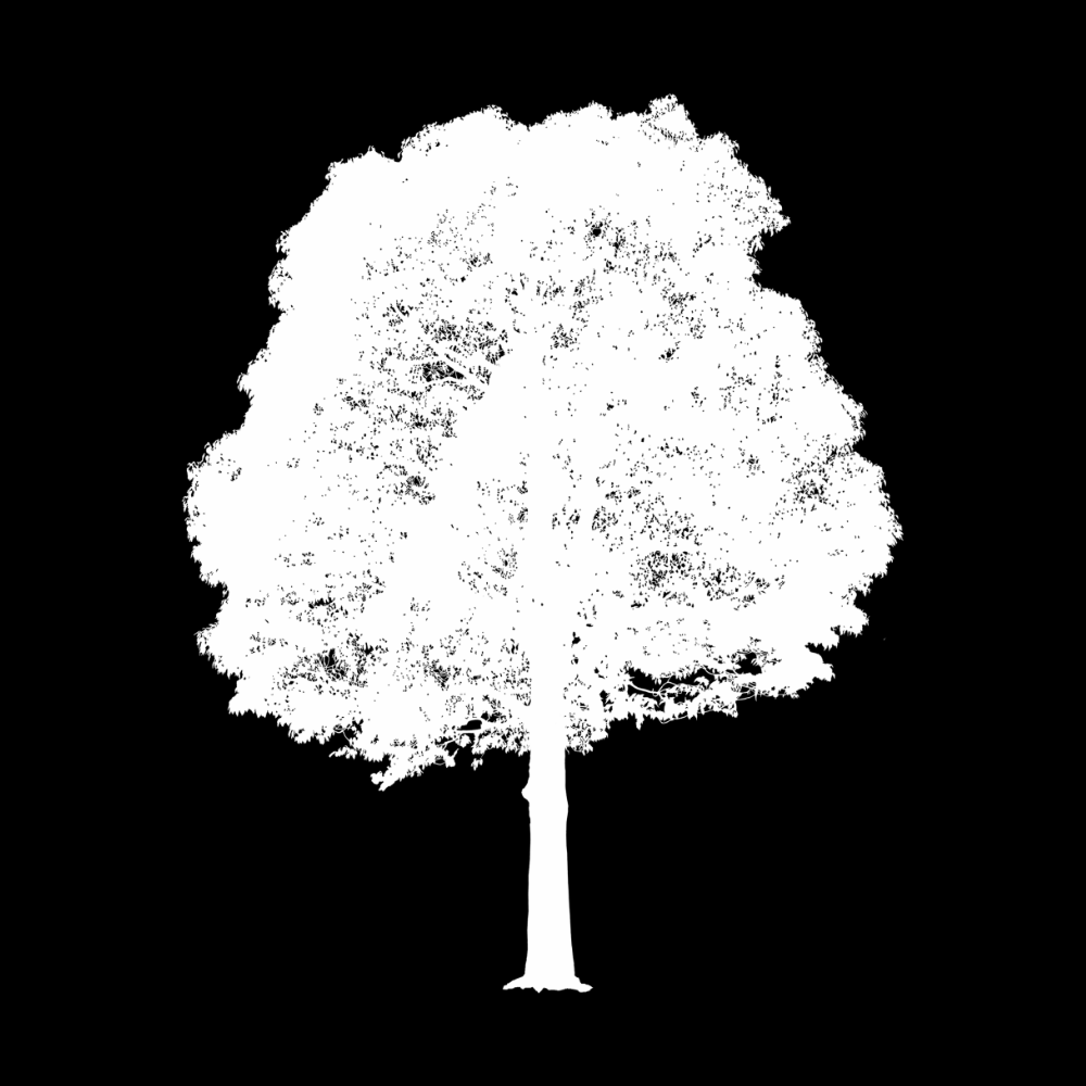 Omnitree.png