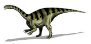 Sellosaurus