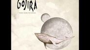Gojira - Flying whales (lyric)