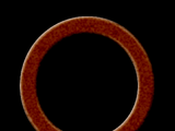 Brown Ring