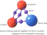 Gluon