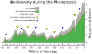 Phanerozoic Biodiversity