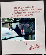 Слежка за Гарри