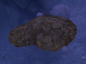 Strange Soil mound.jpg