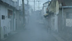 YANGDONG