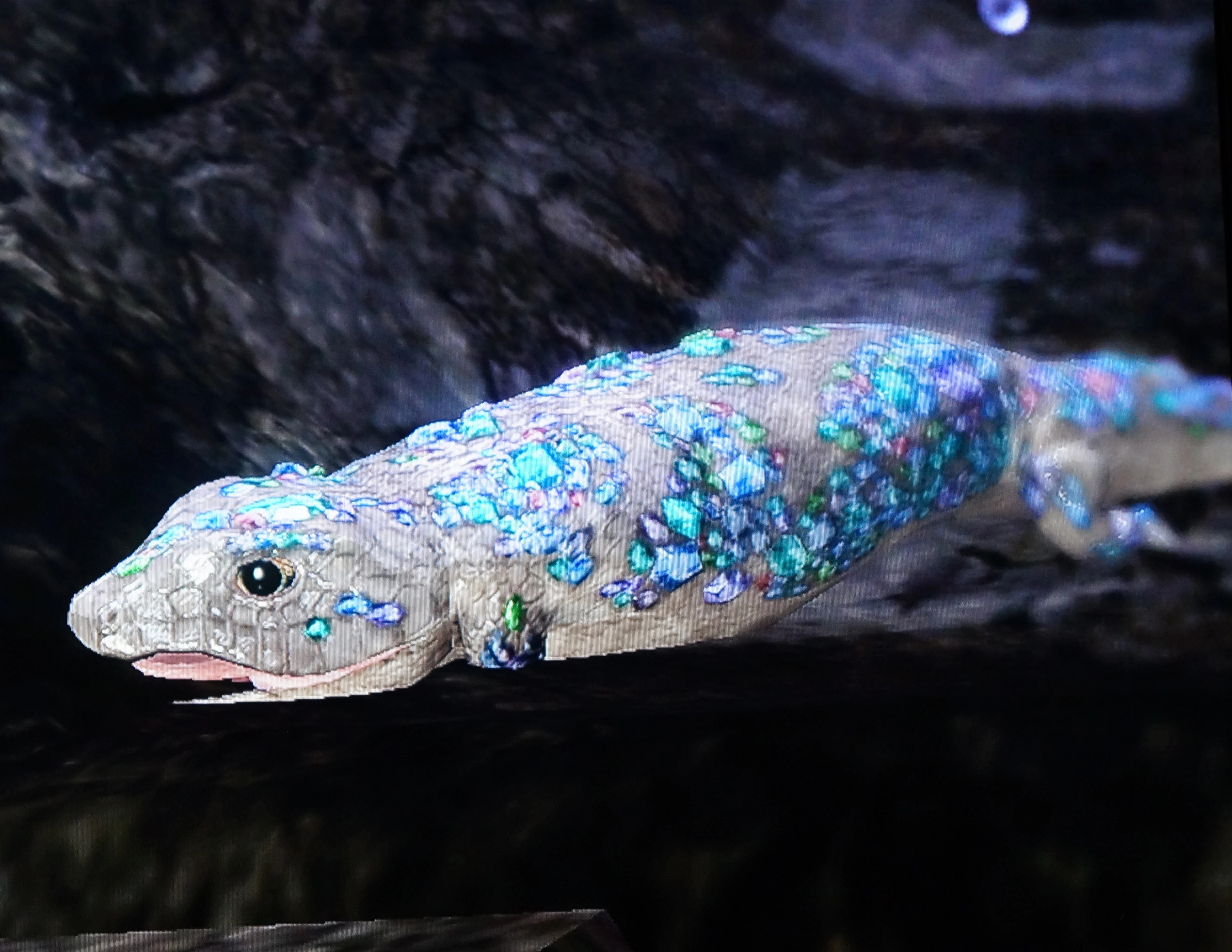 Дарк соулс кристальная ящерка. Кристальная ящерица. Кристальная ящерица dark souls 1. Кристальная ящерка dark souls. Кристальная ящерица.