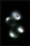 20220125070603?path-prefix=ru