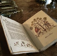 107 12.jpg (673 kio)