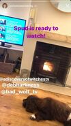 A Discovery of Witches Season 2 BTS 189