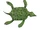 Placochelys