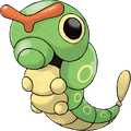 Caterpie