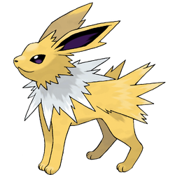 Hi eeveeone ~ Emerald the shiny jolteon⚡ - The Eevee Project