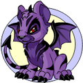 Darigan Kougra