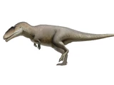 Carcharodontosaurus