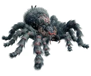 A , a species of heavily mutated .